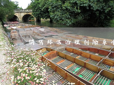 销售环保治理剂除草净违法