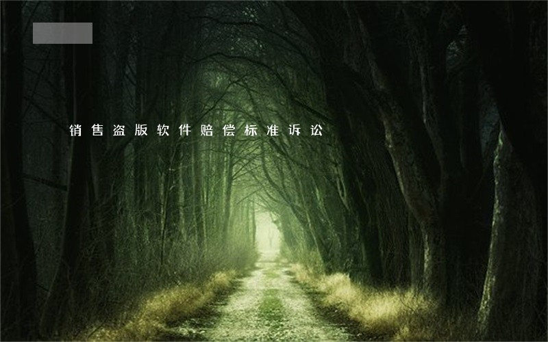 销售盗版软件赔偿标准诉讼