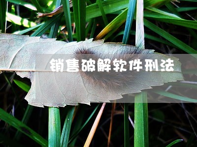 销售破解软件刑法 销售破解软件刑法