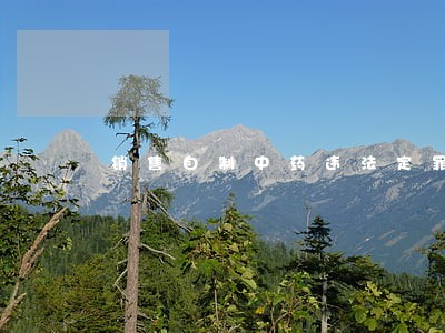 销售自制中药违法定罪 销售自制中药违法定罪