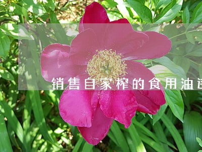 销售自家榨的食用油违法吗 销售自家榨的食用油违法吗
