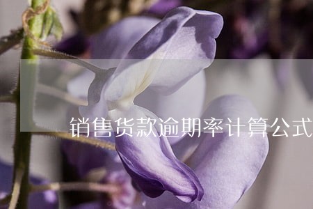 销售货款逾期率计算公式 销售货款逾期率计算公式