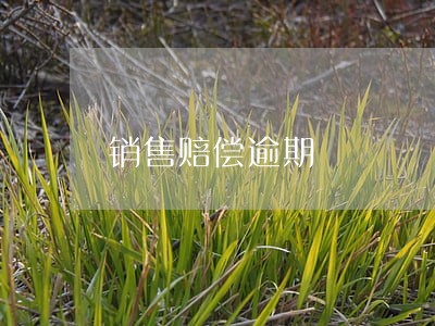 销售赔偿逾期 销售赔偿逾期