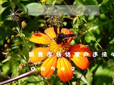 销售返钱给客户违法么/2023012908542 销售返钱给客户违法么/2023012908542