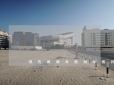 销售逾期未缴纳年费的专利案 销售逾期未缴纳年费的专利案