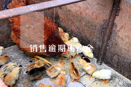 销售逾期违约金 销售逾期违约金
