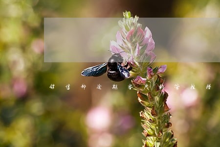 销售部逾期客户的管控措施 销售部逾期客户的管控措施