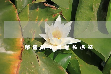 销售针孔摄像头违法 销售针孔摄像头违法
