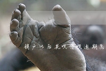 销户以后花呗借呗逾期怎么弄 销户以后花呗借呗逾期怎么弄