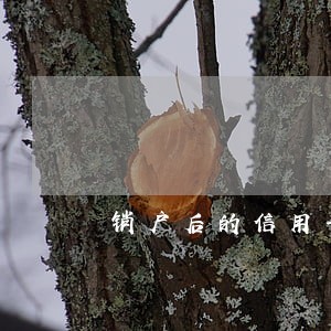 销户后的信用卡还会产生逾期吗