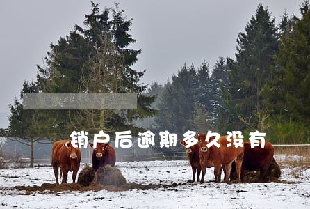 销户后逾期多久没有 销户后逾期多久没有