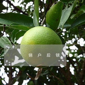 销户后银行逾期还能查到妈 销户后银行逾期还能查到妈