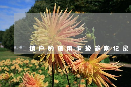 销户的信用卡算逾期记录么