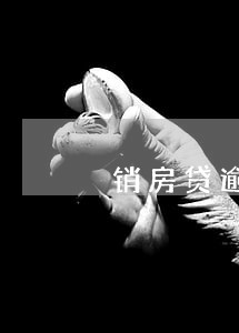 销房贷逾期记录 销房贷逾期记录