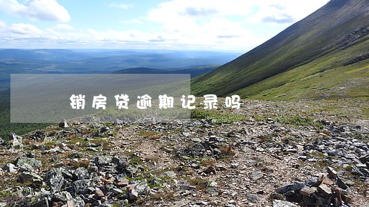 销房贷逾期记录吗 销房贷逾期记录吗