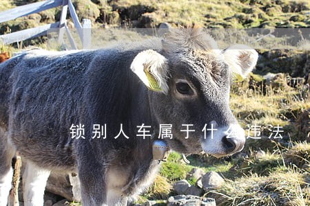 锁别人车属于什么违法 锁别人车属于什么违法