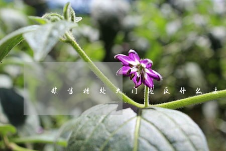 锁售楼处大门违反什么法律法规 锁售楼处大门违反什么法律法规