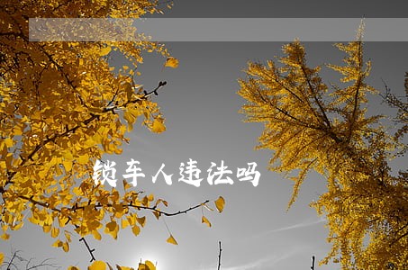 锁车人违法吗 锁车人违法吗