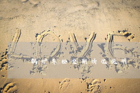 锅炉年检逾期情况说明