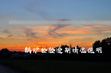 锅炉检验逾期情况说明 锅炉检验逾期情况说明