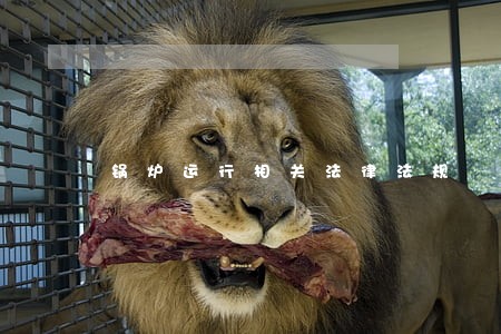 锅炉运行相关法律法规 锅炉运行相关法律法规