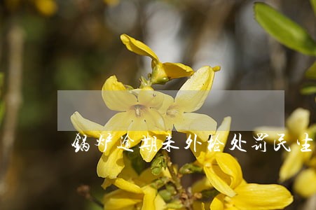 锅炉逾期未外检处罚民生 锅炉逾期未外检处罚民生