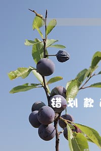 错划款返还诉讼的管辖 错划款返还诉讼的管辖