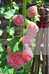 错误逾期记录怎么清除 错误逾期记录怎么清除