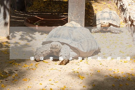 错误金融逾期后如何处理 错误金融逾期后如何处理