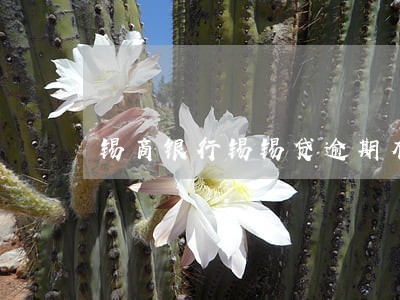锡商银行锡锡贷逾期有宽限期么 锡商银行锡锡贷逾期有宽限期么
