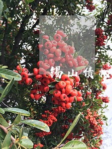 锡山债权债务律师 锡山债权债务律师
