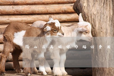 锡山区离婚律师起诉费用 锡山区离婚律师起诉费用