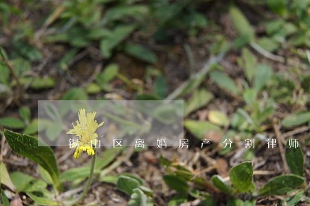 锡山区离婚房产分割律师 锡山区离婚房产分割律师