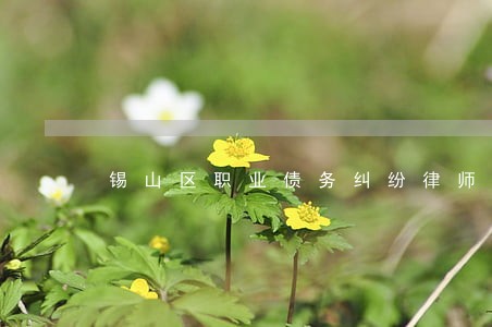 锡山区职业债务纠纷律师 锡山区职业债务纠纷律师