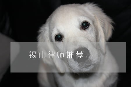 锡山律师推荐