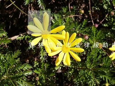 锡林浩特市法律援助电话