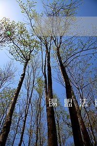 锡盟法院姓王 锡盟法院姓王