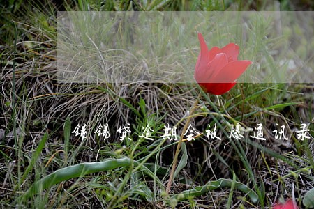 锡锡贷逾期会被爆通讯录吗 锡锡贷逾期会被爆通讯录吗
