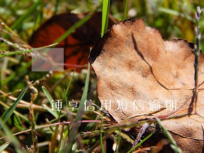 锤享信用短信逾期 锤享信用短信逾期