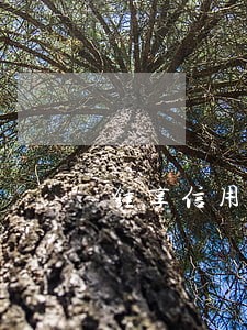 锤享信用说我逾期 锤享信用说我逾期