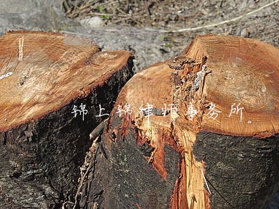 锦上锦律师事务所