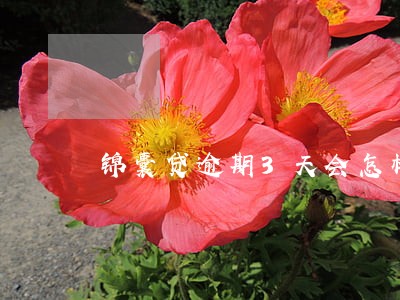 锦囊贷逾期3天会怎样 锦囊贷逾期3天会怎样