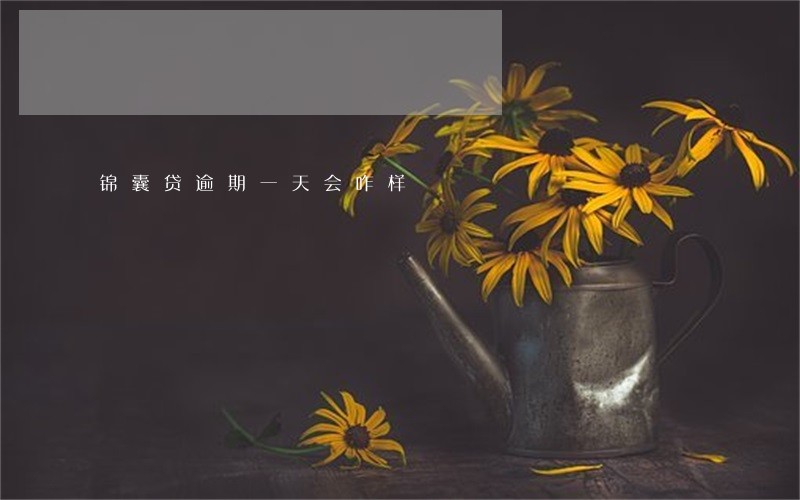 锦囊贷逾期一天会咋样