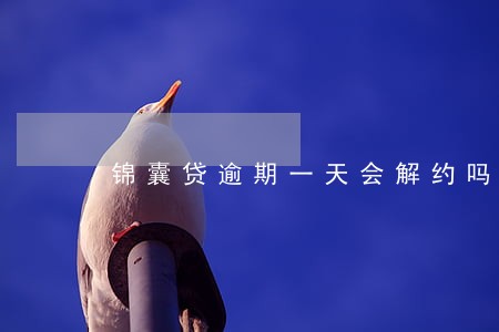 锦囊贷逾期一天会解约吗 锦囊贷逾期一天会解约吗