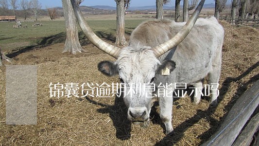 锦囊贷逾期利息能显示吗 锦囊贷逾期利息能显示吗