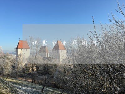 锦囊贷逾期图片 锦囊贷逾期图片