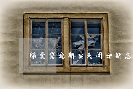 锦囊贷逾期要关闭分期怎么办 锦囊贷逾期要关闭分期怎么办