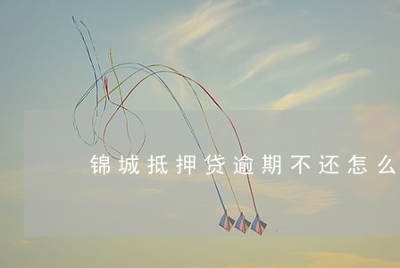 锦城抵押贷逾期不还怎么处理