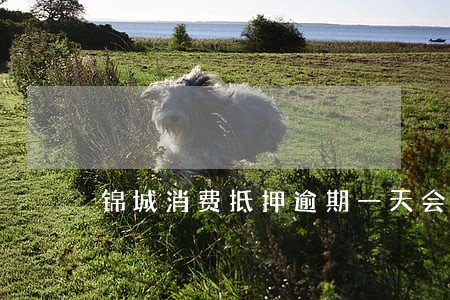 锦城消费抵押逾期一天会上征信吗 锦城消费抵押逾期一天会上征信吗