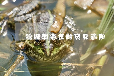 锦城消费金融贷款逾期 锦城消费金融贷款逾期